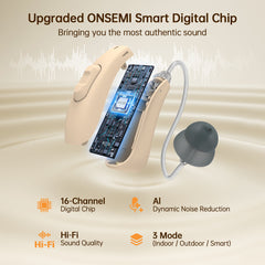 Bigprot FH312 AI Noise-Canceling Hearing Aids