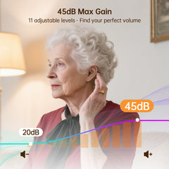 Bigprot FH312 AI Noise-Canceling Hearing Aids