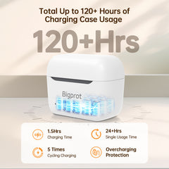 Bigprot FH312 AI Noise-Canceling Hearing Aids