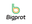 Bigprot Hearing logo